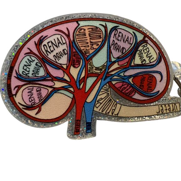 Anatomical Kidney Retractable ID Badge Reel, Endocrine, Nephrology, Renal NWT - Picture 1 of 3